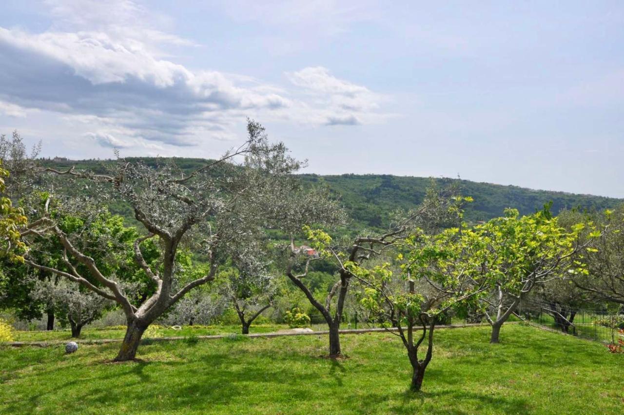 Olea Mar Apartma Pobegi Экстерьер фото